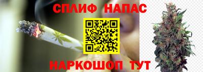 наркотики Ставрополь