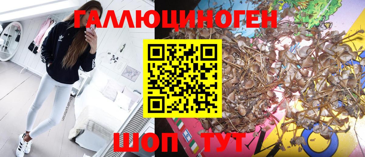 Галлюциногенные грибы Cubensis Муравленко